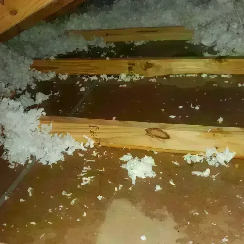 Attic Water Damage in Riverview, MO