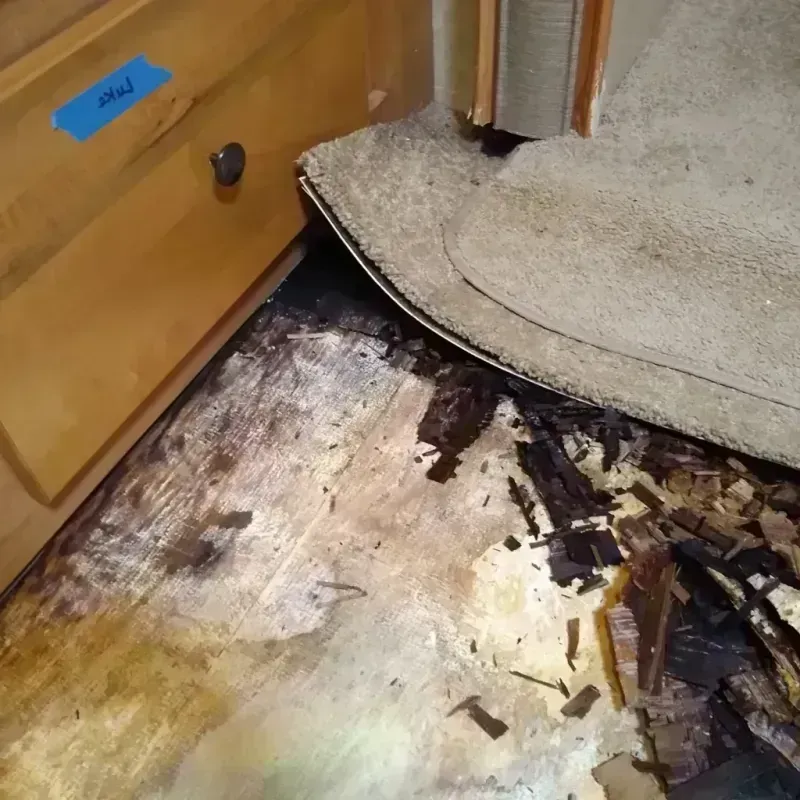 Wood Floor Water Damage in Riverview, MO